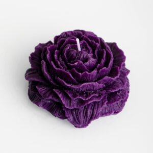 [Mystic] Classic Style Rose Low Temperature Candle
