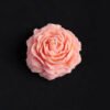 [Peach] Gilded Style Rose Low Temperature Candle